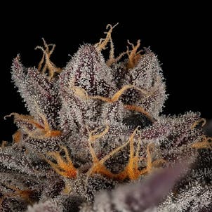 Photo of Cream Smoothie