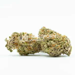 Photo of Sour Diesel Autoflower