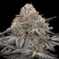 Oreoz Feminized Cannabis Seeds