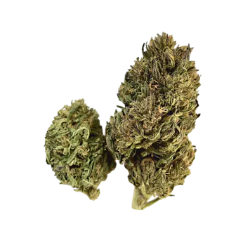 Photo of Bubba Kush CBD Hemp Flower by The Green Nursery