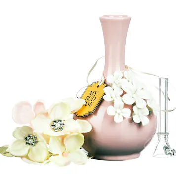 Photo of My Bud Vase "Rachel" Water Pipe