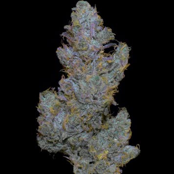 Photo of Chocolate Oranges