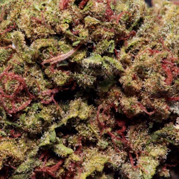 Photo of Dream Queen