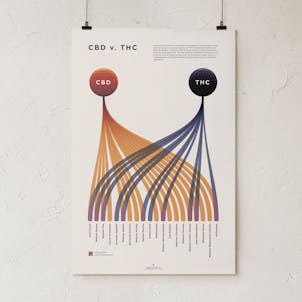 Photo of CBD v. THC Comparison Chart Poster/Print