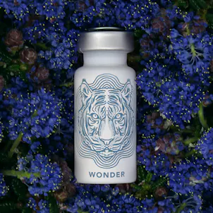 Photo of Koan Cordials – Wonder
