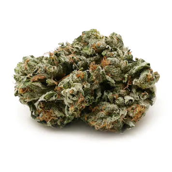 Photo of Pink Kush 0.3g Pre-Rolls (10-pack)