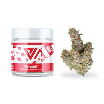 Photo of Jelly Mints 3.5G