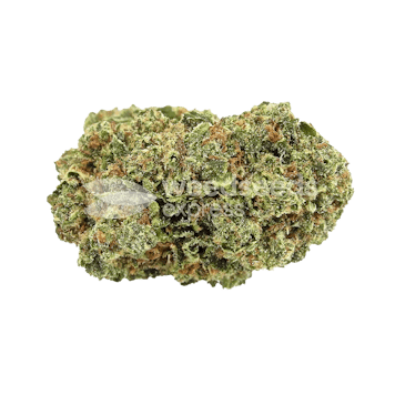 Photo of Forbidden Fruit Feminized Seeds