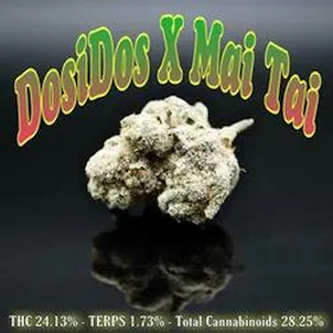 Photo of PhD - DosiDos X Mai Tai #4 Flower - 24.13% THC