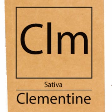 Photo of Clementine