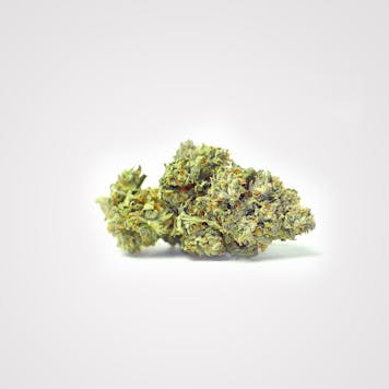 Photo of Skywalker