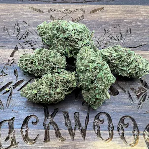 Photo of Forbidden V