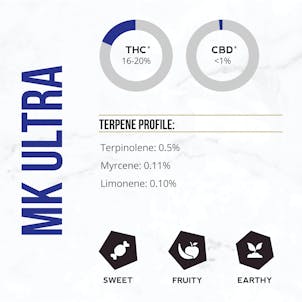 Photo of Namaste MK Ultra