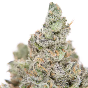 Photo of Platinum Huckleberry Cookies