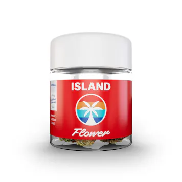 Photo of Island Flower: Runtz (Indica)