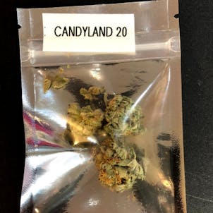 Photo of Candyland 20