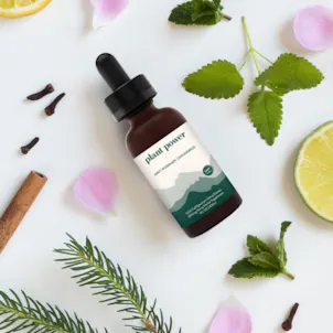 Photo of Plant Power 1200mg Full Spectrum CBD Oil: Mint | Rosemary | Lemongrass