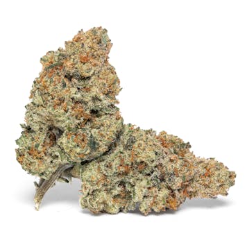 Photo of Lemon Lime Punch | HOVER