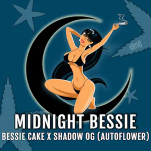 Photo of Midnight Bessie