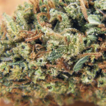 Photo of Sun Grown "DC Ogre Berry" (Hybrid)