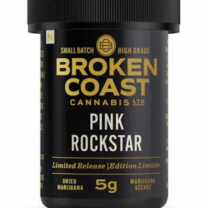 Photo of Pink Rockstar
