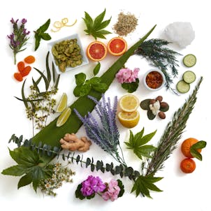 Photo of Be Sensual 9oz Hemp Bath Milk