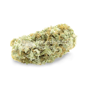 Photo of Critical Feminized Seeds