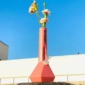 Photo of 10" aLeaf® Ceramic Vase Water Pipe