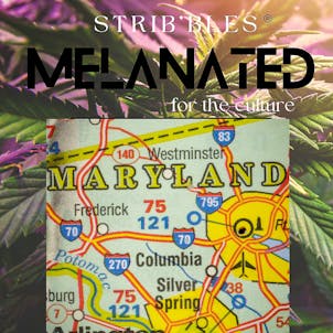 Photo of STRIB'ble Melanated Special Edition