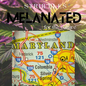 Photo of STRIB'ble Melanated Special Edition