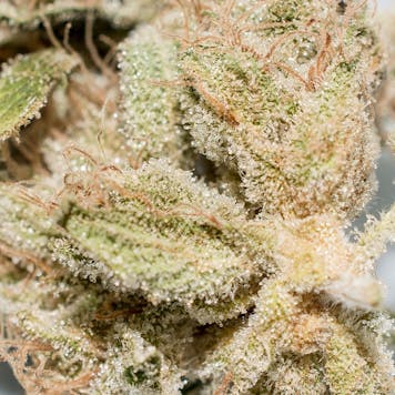 Photo of Sage N Sour