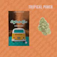 Product image for Essentials | Packaged Flower | Tropical Punch | 1/2oz