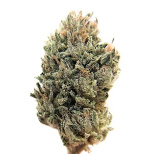 Photo of Oregon Guava CBD Flower (15.42% CBD)