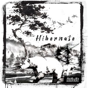 Photo of Hibernate Smokos 2pk x 0.5g