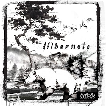 Photo of Hibernate Smokos 2pk x 0.5g