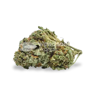 Photo of Runtz Feminized Seeds