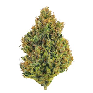 Photo of Space Monkey