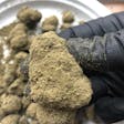 Product image for Frosted Lime Hemp CBD Moon Rocks