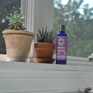 Photo of CBD Lotion