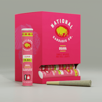 Guava 1g Infused Pre Roll