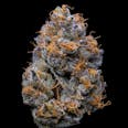 Velvet Cream Feminized Cannabis Seeds