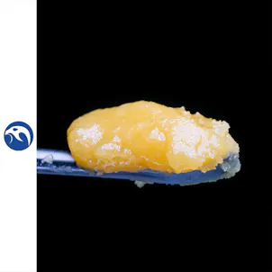 Photo of Blueberry Tide Wax 1g