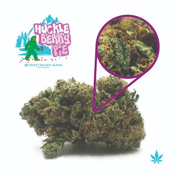 Photo of Huckleberry Pie