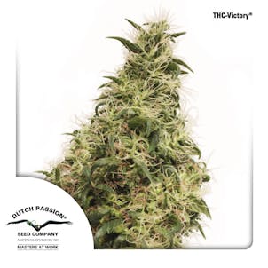 Photo of THC-Victory