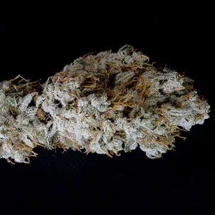 Photo of Yettis Cookie