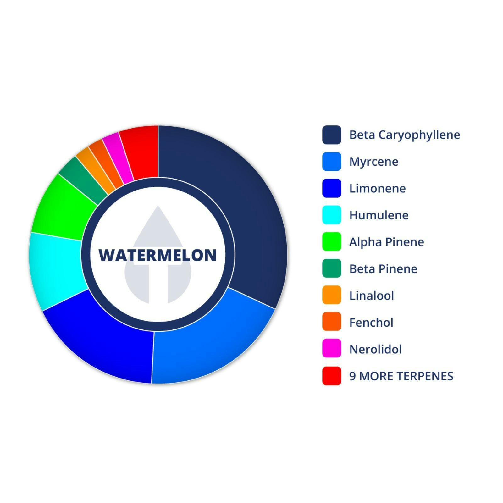 True Terpenes Watermelon Profile Strain Leafly