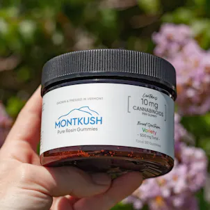 Photo of Broad Spectrum 10mg CBD Gummies 50-pack | 500mg