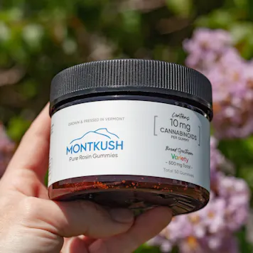 Photo of Broad Spectrum 10mg CBD Gummies 50-pack | 500mg