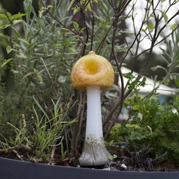 Photo of 6" Magic Mushroom Shaped "Shroom" Glass Spoon
