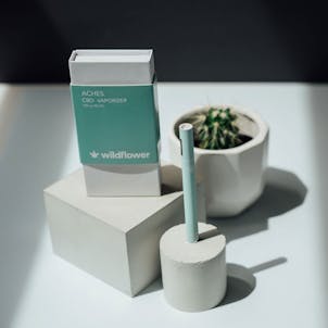 Photo of Disposable Vape Pens – Aches